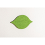 Kép 2/4 - Noizero wall felt, akusztikus hangelnyelő falpanel levél, zöld 30x16x2-3cm